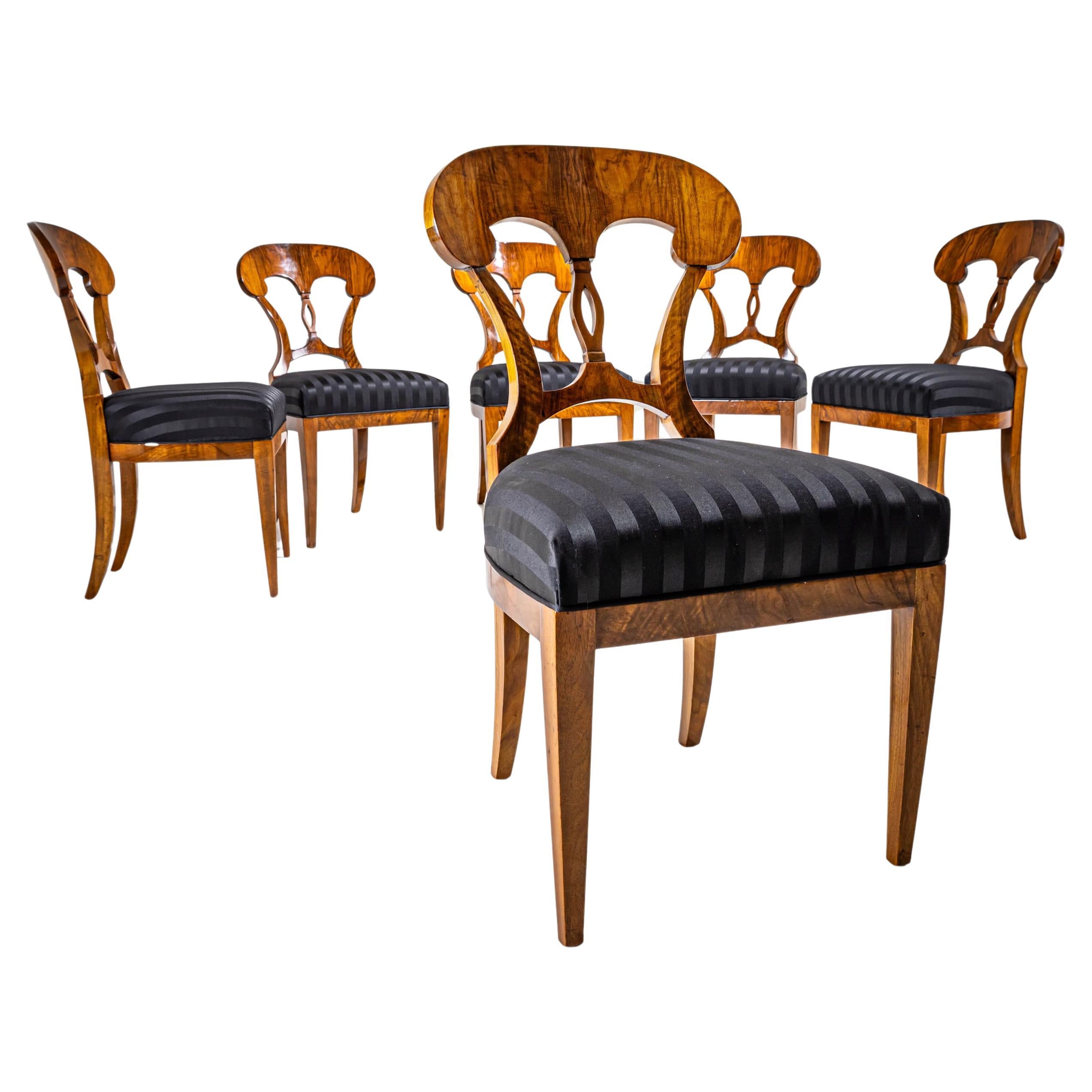 Set of Six Biedermeier Chairs, circa 1830 For Sale