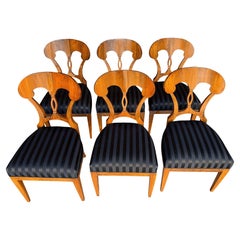 Set of Six 19th Century Biedermeier Chairs, from Germany