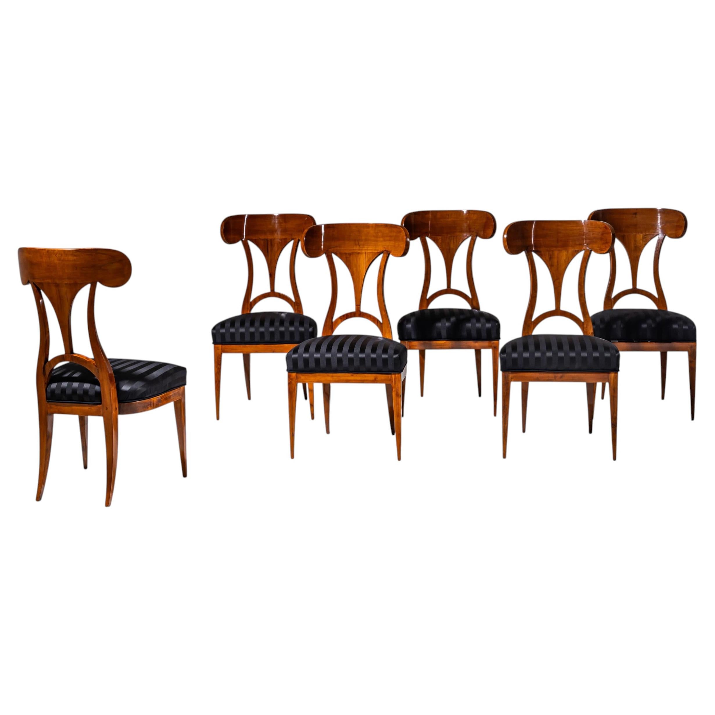Set of Six Biedermeier Shovel-Back Chairs, circa 1820