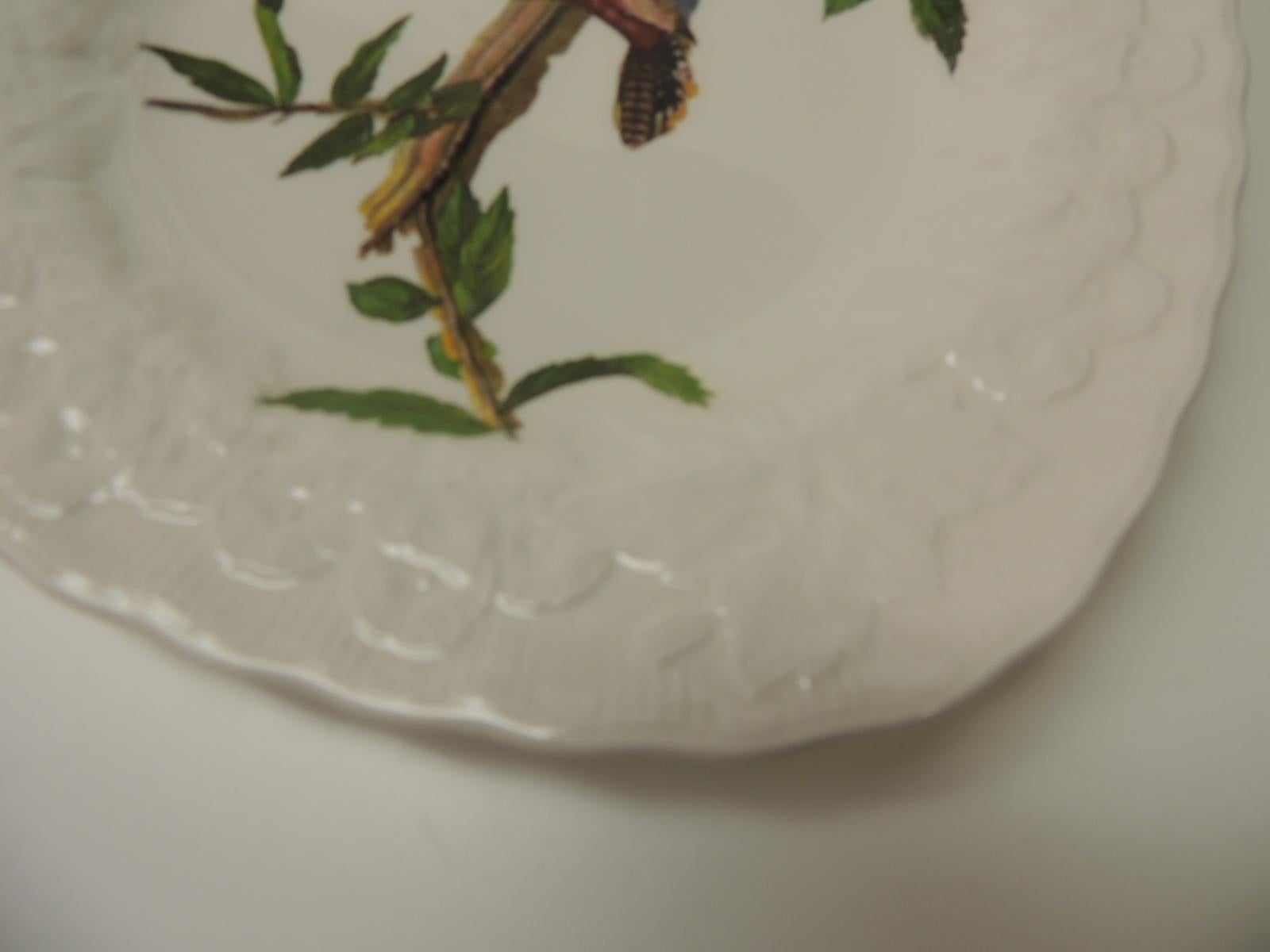 British Set of Six Birds of America Porcelain Dessert Plates