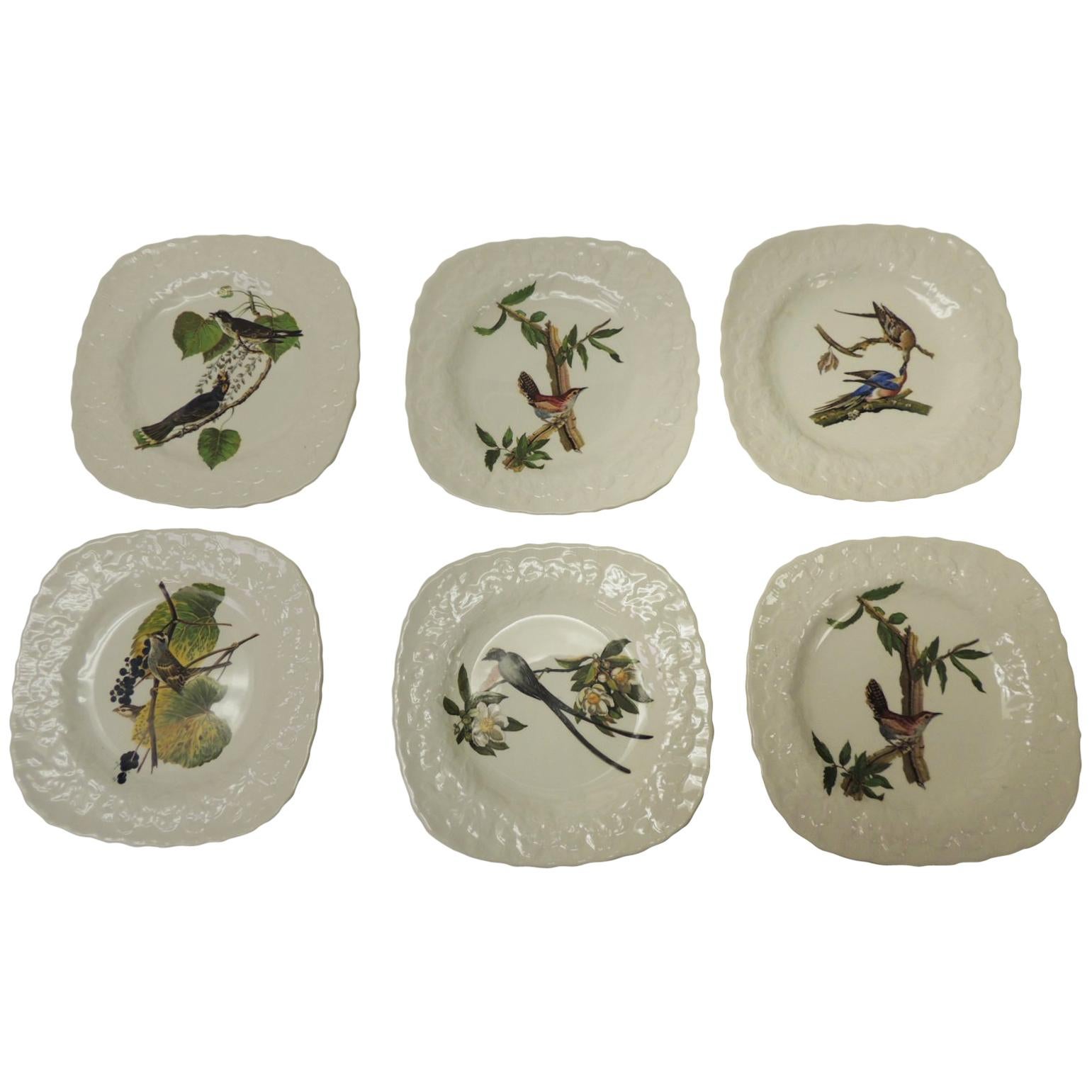 Set of Six Birds of America Porcelain Dessert Plates