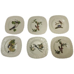 Set of Six Birds of America Porcelain Dessert Plates