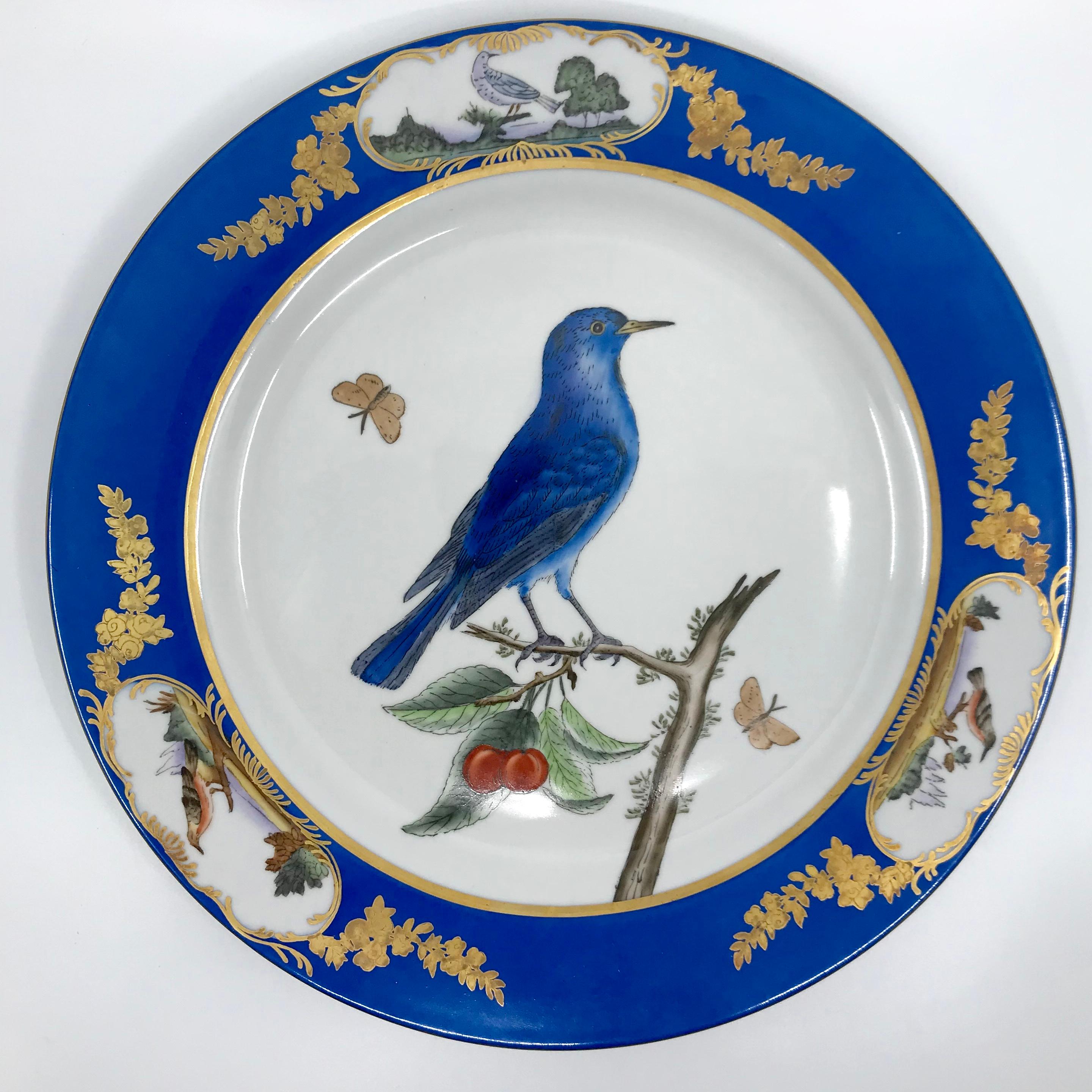 Ensemble de six assiettes à oiseaux bleues et blanches. Ensemble de six assiettes à dîner de style Sèvres du 20e siècle, décorées de bandes bleues et de bordures dorées avec des réserves de petits oiseaux centrés sur un champ blanc présentant six