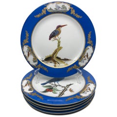 Set of Six Blue and White Bird Plates