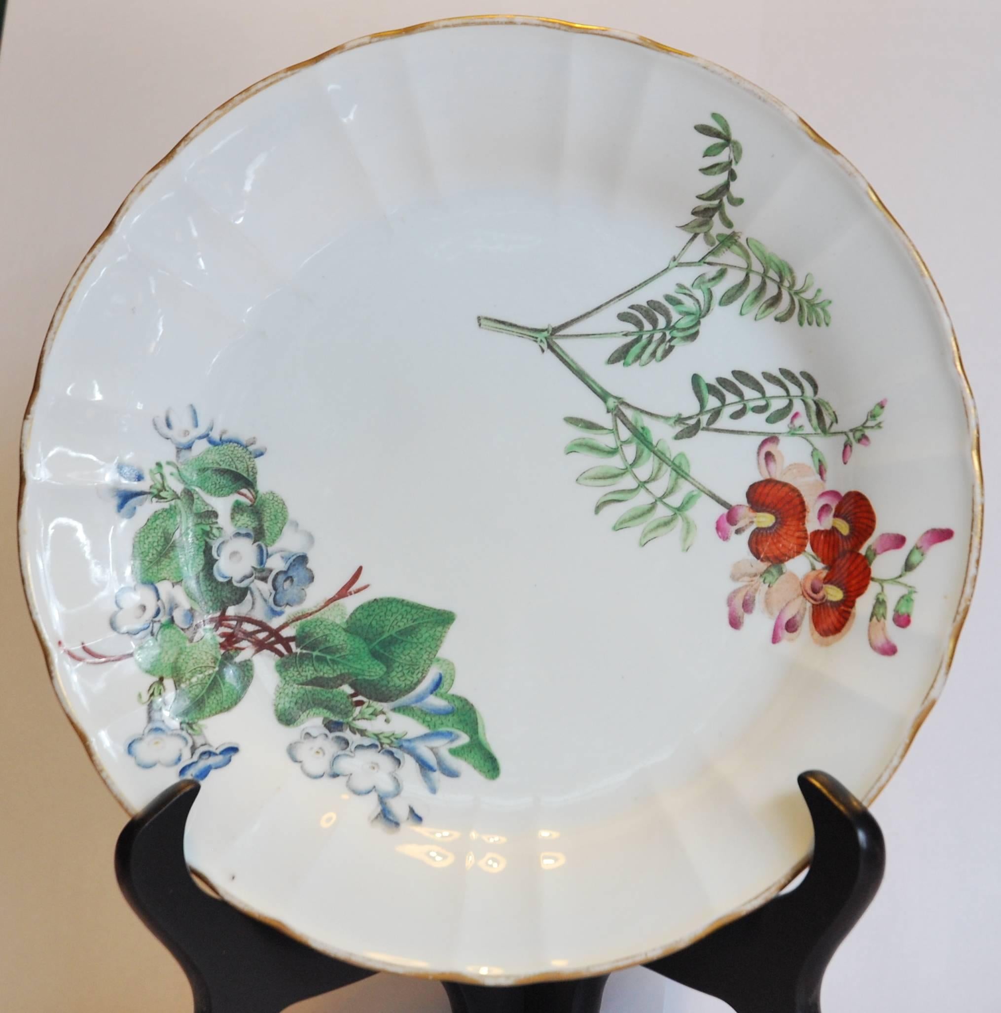 A rare set of six dessert plates, in bone china; printed and enameled with botanical designs probably from prints of the period. First Period Bone china was made only for about 10 years, as it was not a commercial success; probably because Wedgwood