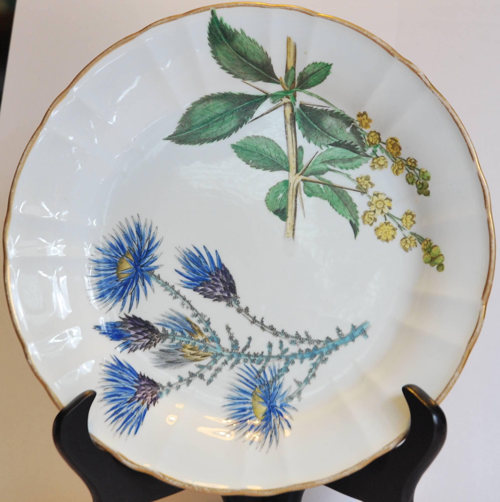 Molded Set of Six Botanical Dessert Plates, First Period Bone China, circa 1815