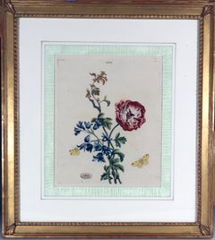 Set of Six Botanical Framed Prints, by Benjamin Wilkes