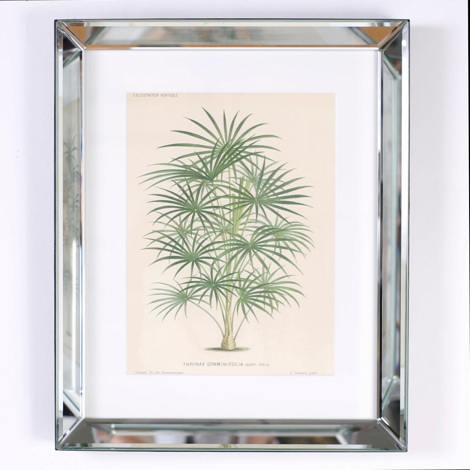 Set of Six Botanical Prints in Mirrored Frames by Trowbridge 4