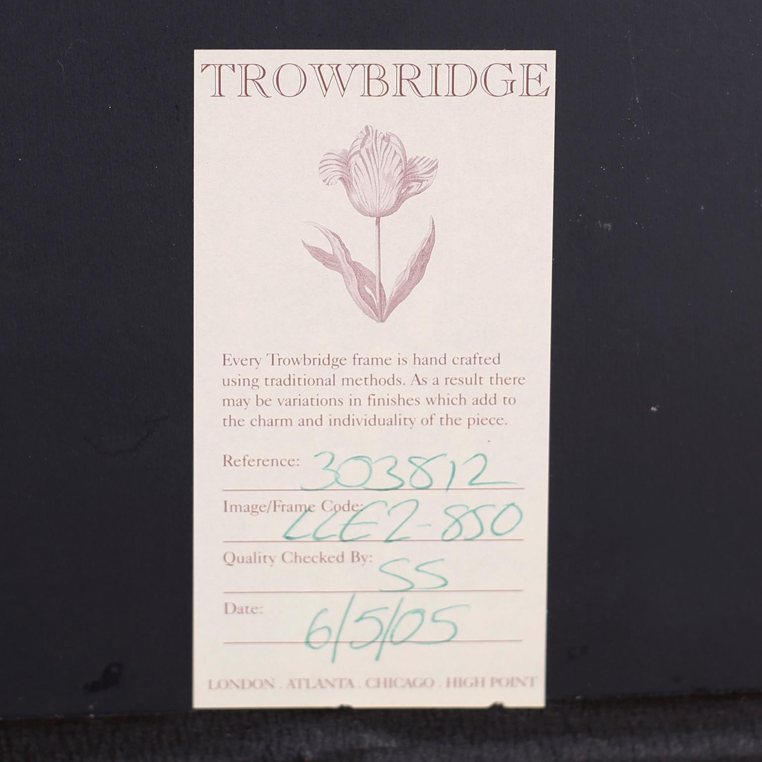 Set of Six Botanical Prints in Mirrored Frames by Trowbridge 6