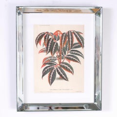 Set of Six Botanical Prints in Mirrored Frames by Trowbridge