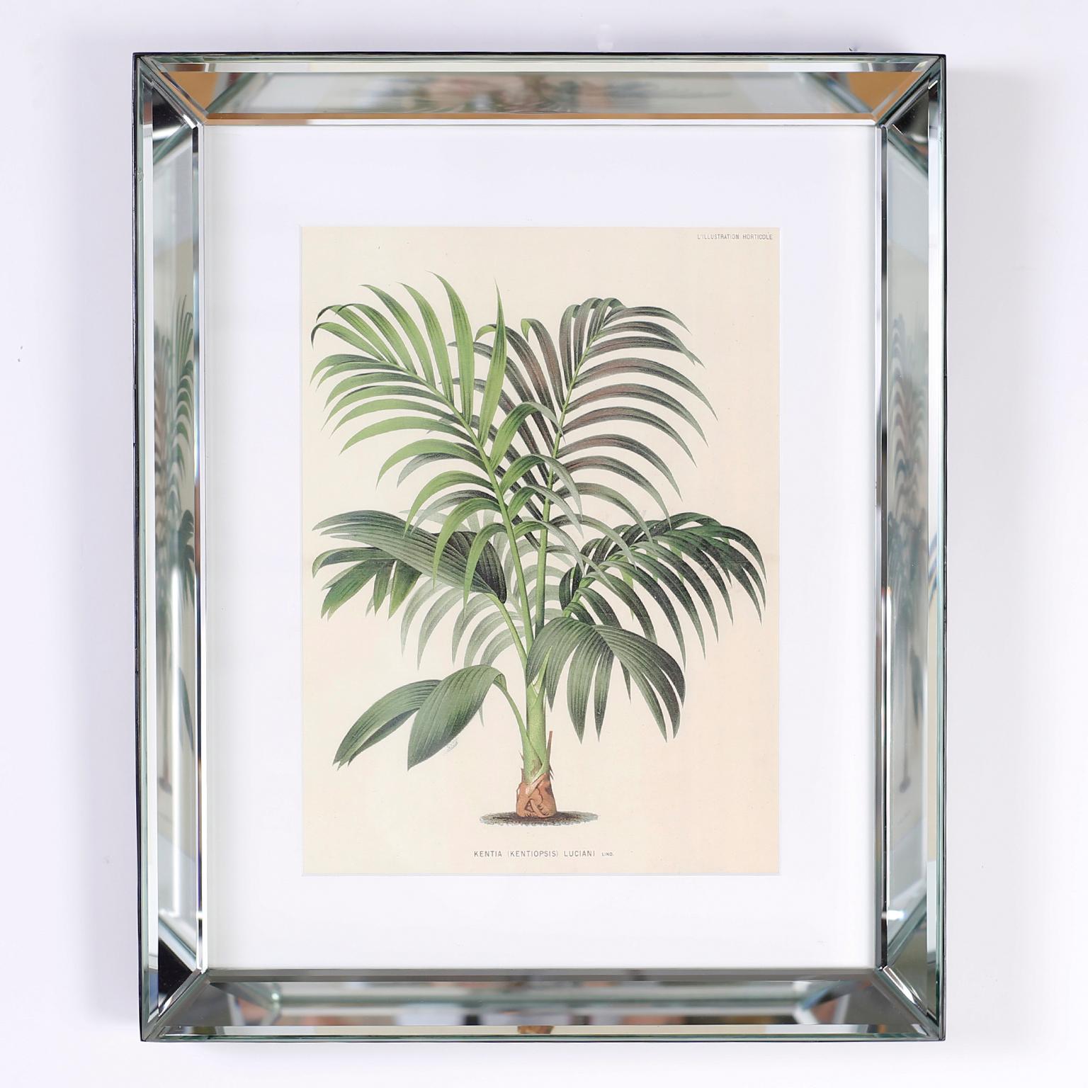 Set of Six Botanical Prints in Mirrored Frames by Trowbridge In Good Condition In Palm Beach, FL