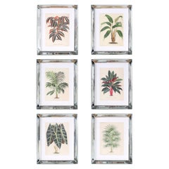 Set of Six Botanical Prints in Mirrored Frames by Trowbridge