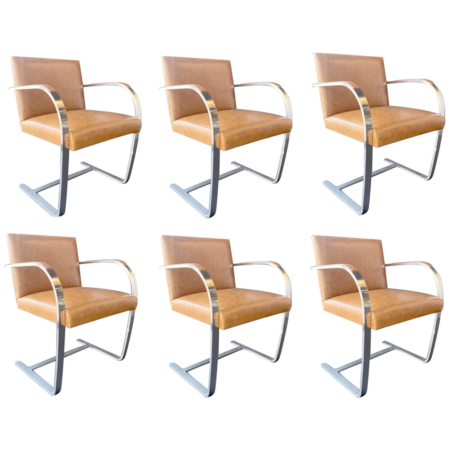 Set of Six Brno Chairs by Mies van der Rohe