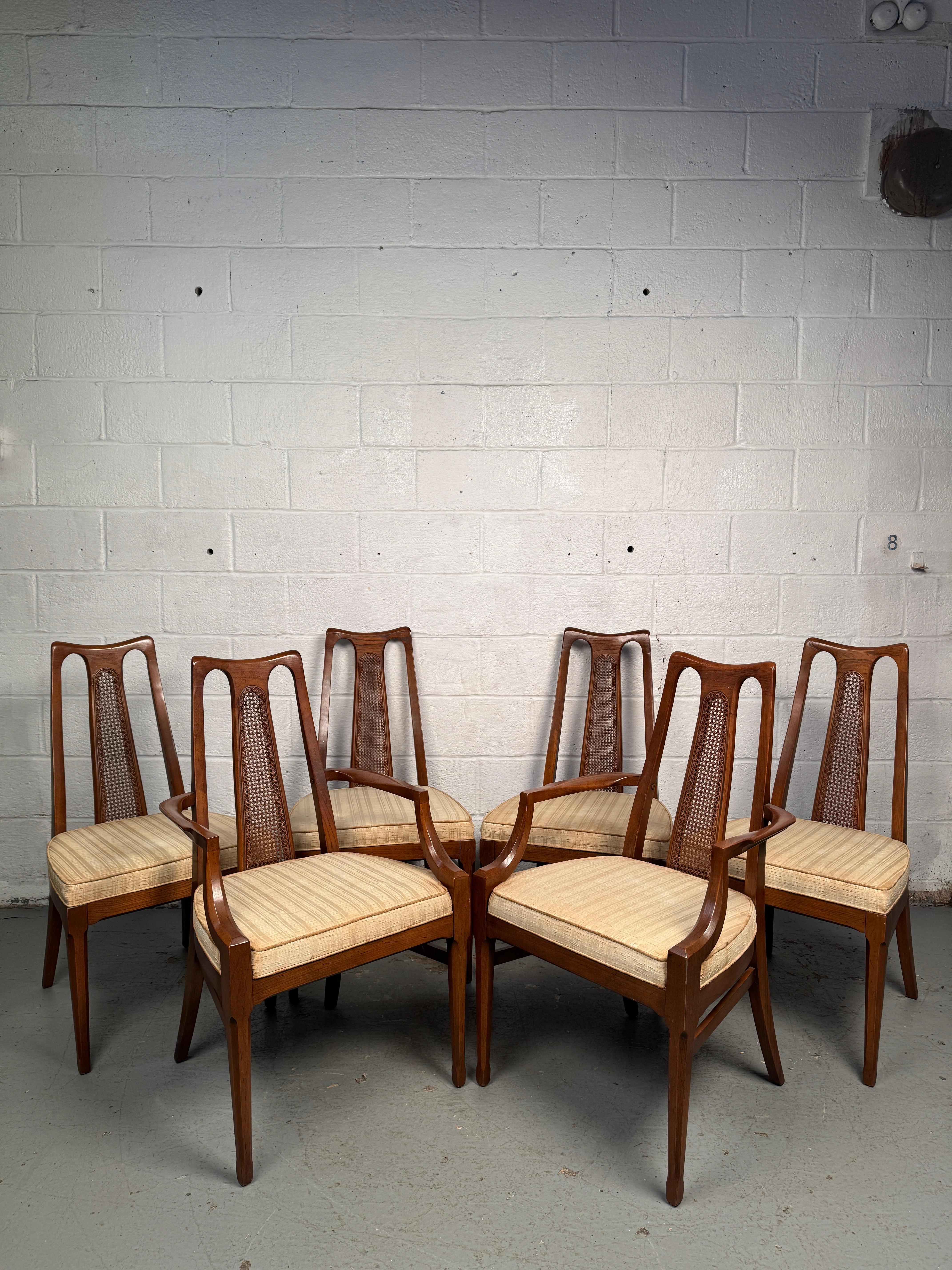 Elegante set da sei  sedie da pranzo con schienale a canna di metà secolo di White Furniture, con sedute imbottite e confortevoli. Le linee pulite e le calde tonalità del legno mettono in risalto il design modernista, rendendo questo set un mix