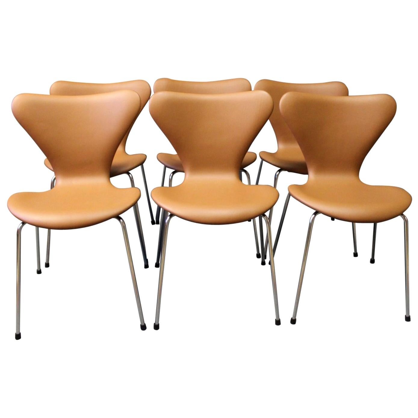 Set of Six Chairs Series 7 Chairs, Model 3107, by Arne Jacobsen and Fritz Hansen