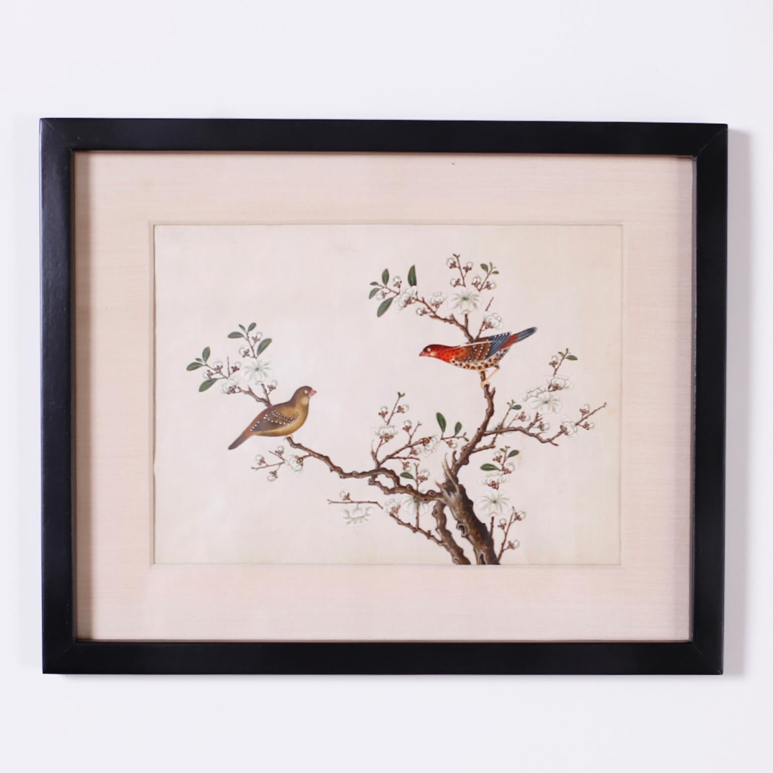 Set of Six Chinese Watercolors of Song Birds For Sale 4