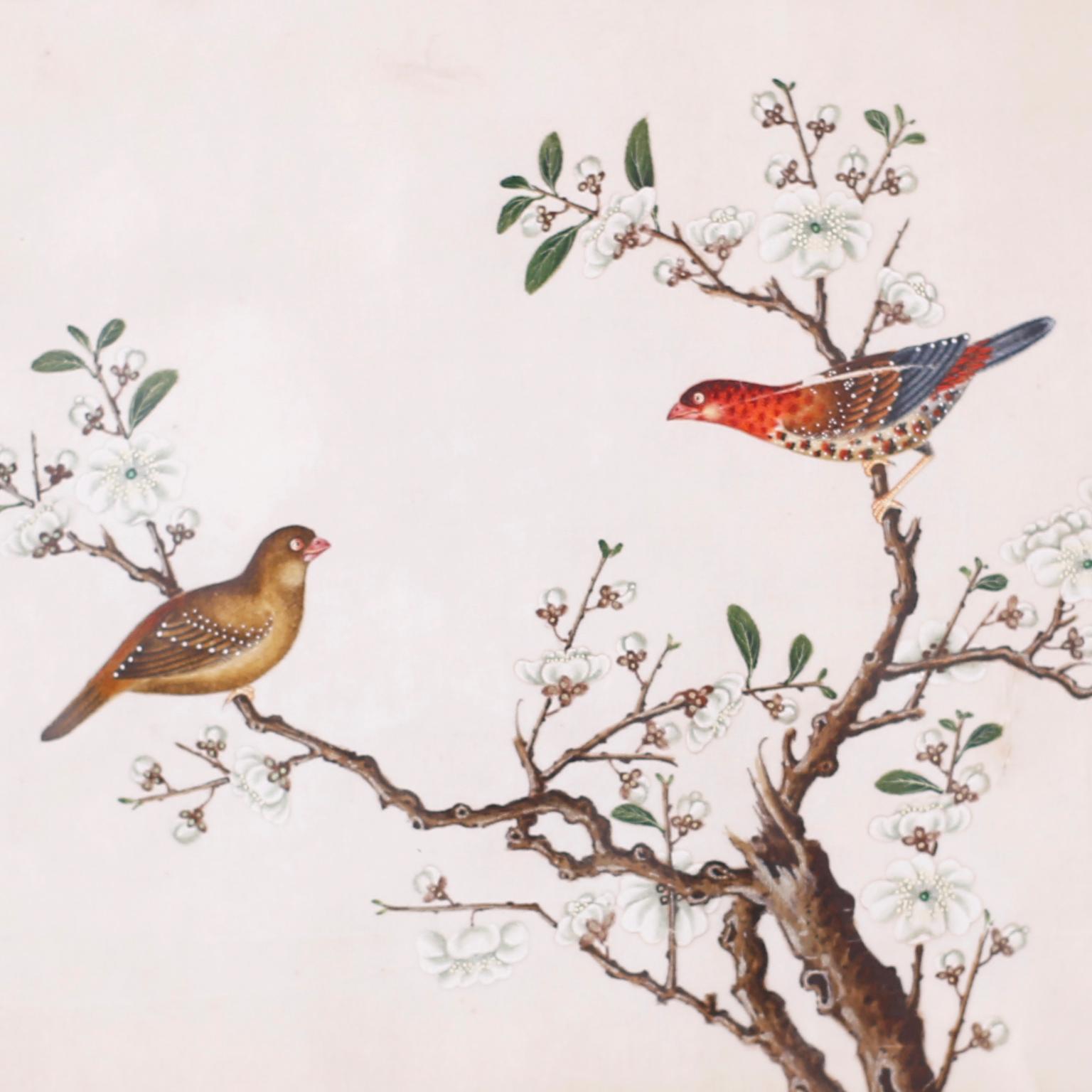 Set of Six Chinese Watercolors of Song Birds For Sale 5