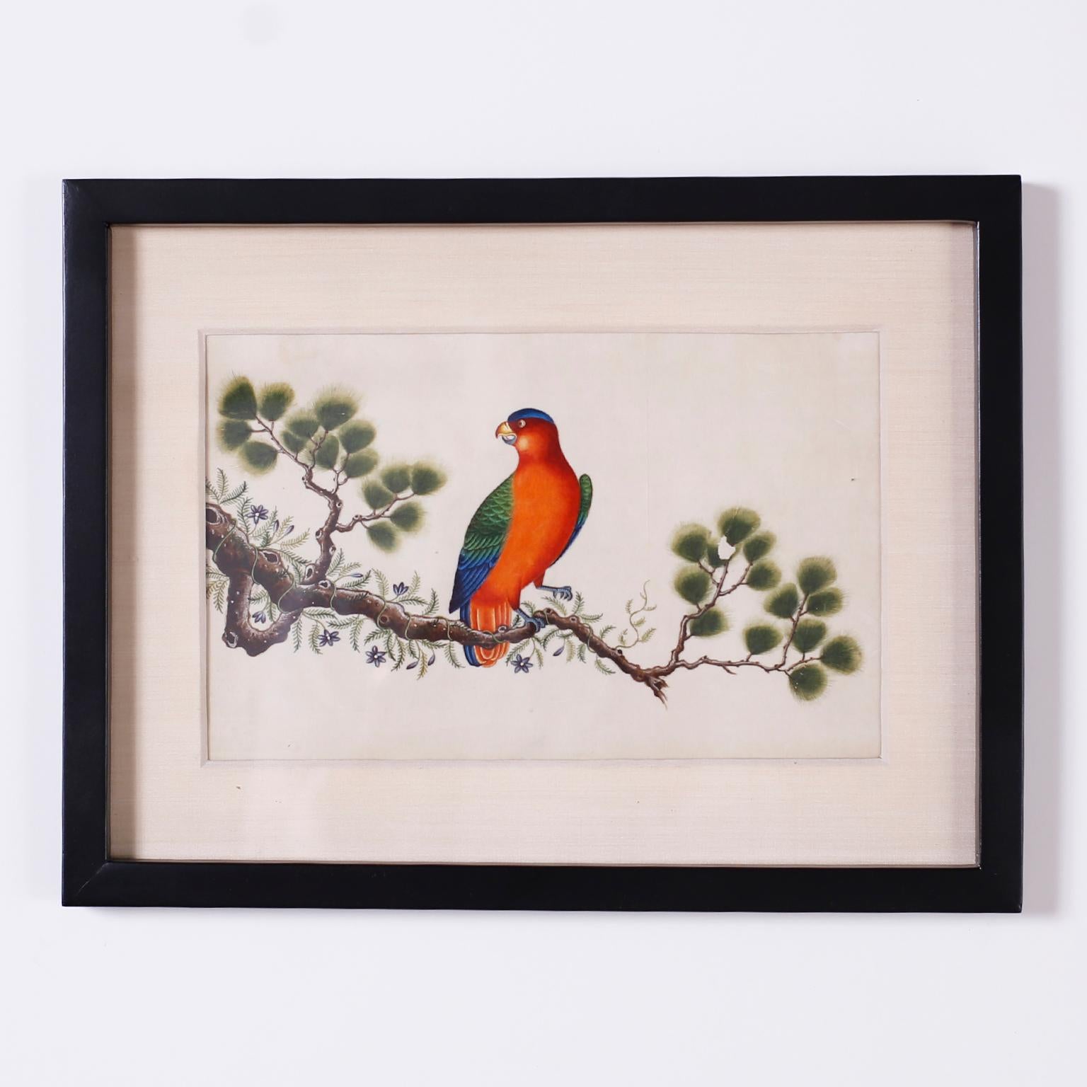 Set of Six Chinese Watercolors of Song Birds In Good Condition For Sale In Palm Beach, FL
