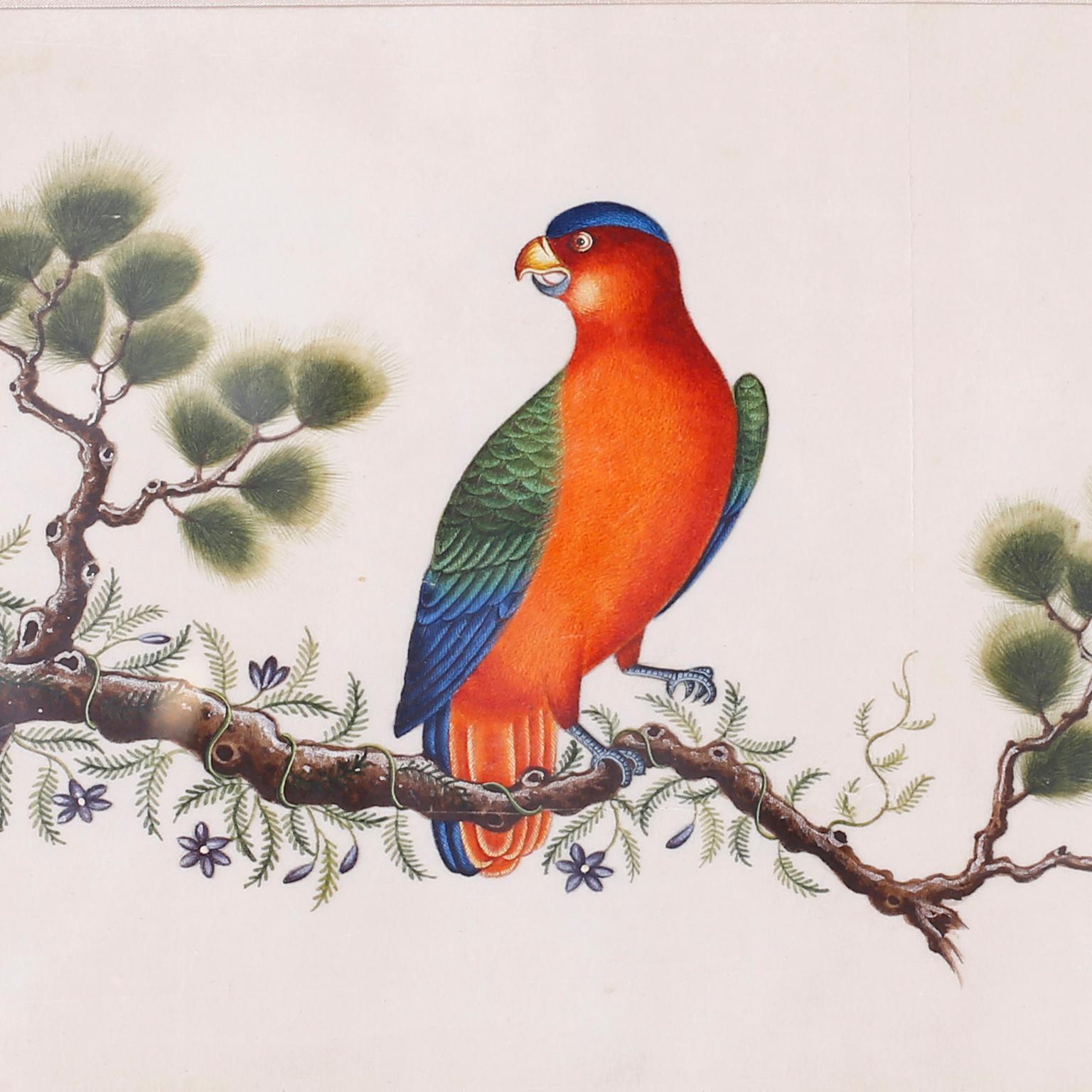 20th Century Set of Six Chinese Watercolors of Song Birds For Sale