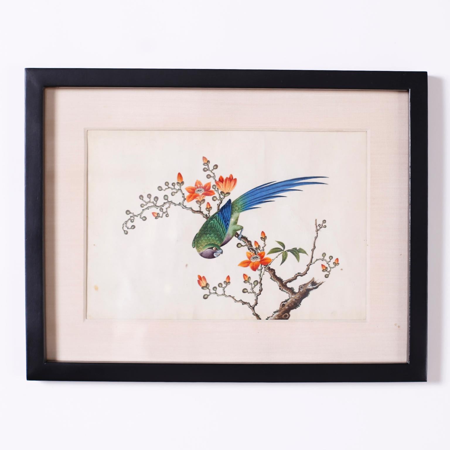 Paint Set of Six Chinese Watercolors of Song Birds For Sale