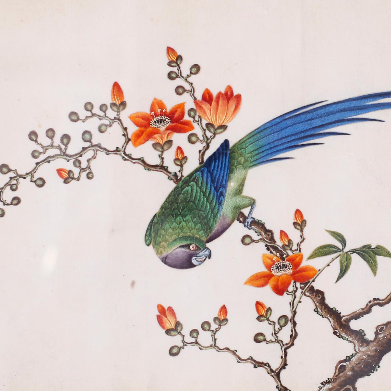 Set of Six Chinese Watercolors of Song Birds For Sale 1