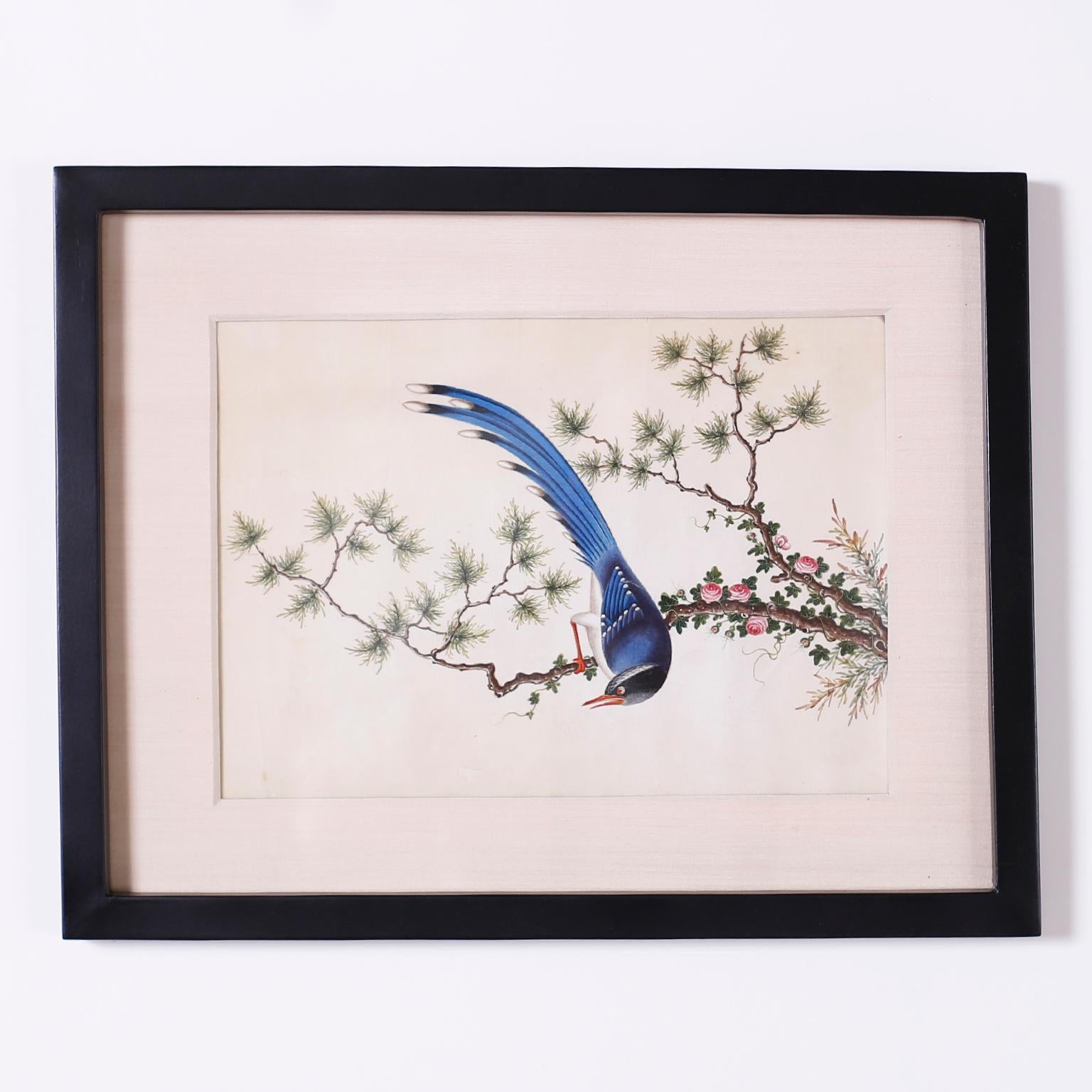 Set von sechs chinesischen Aquarellbildern von Song Birds im Angebot 1