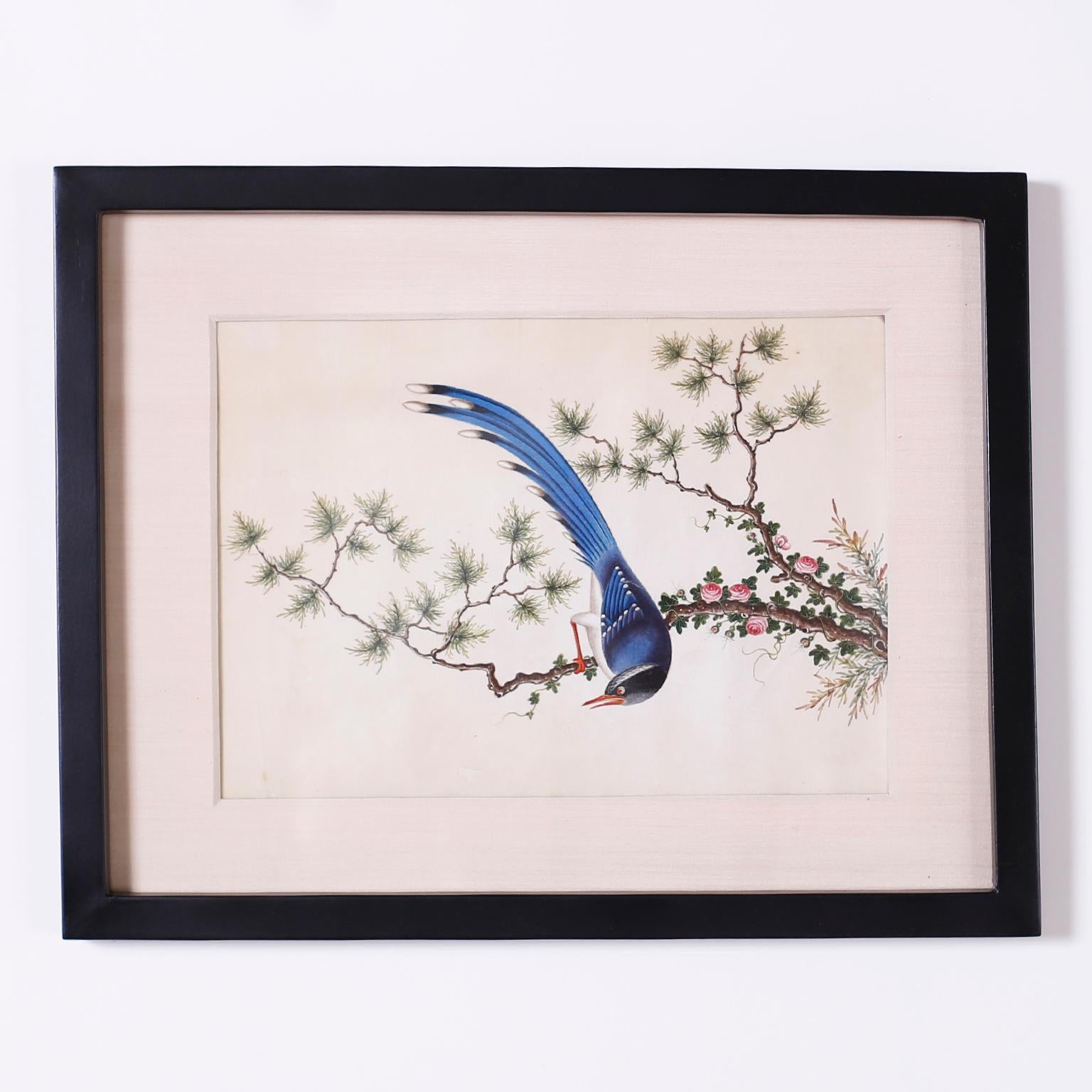 Set of Six Chinese Watercolors of Song Birds For Sale 2