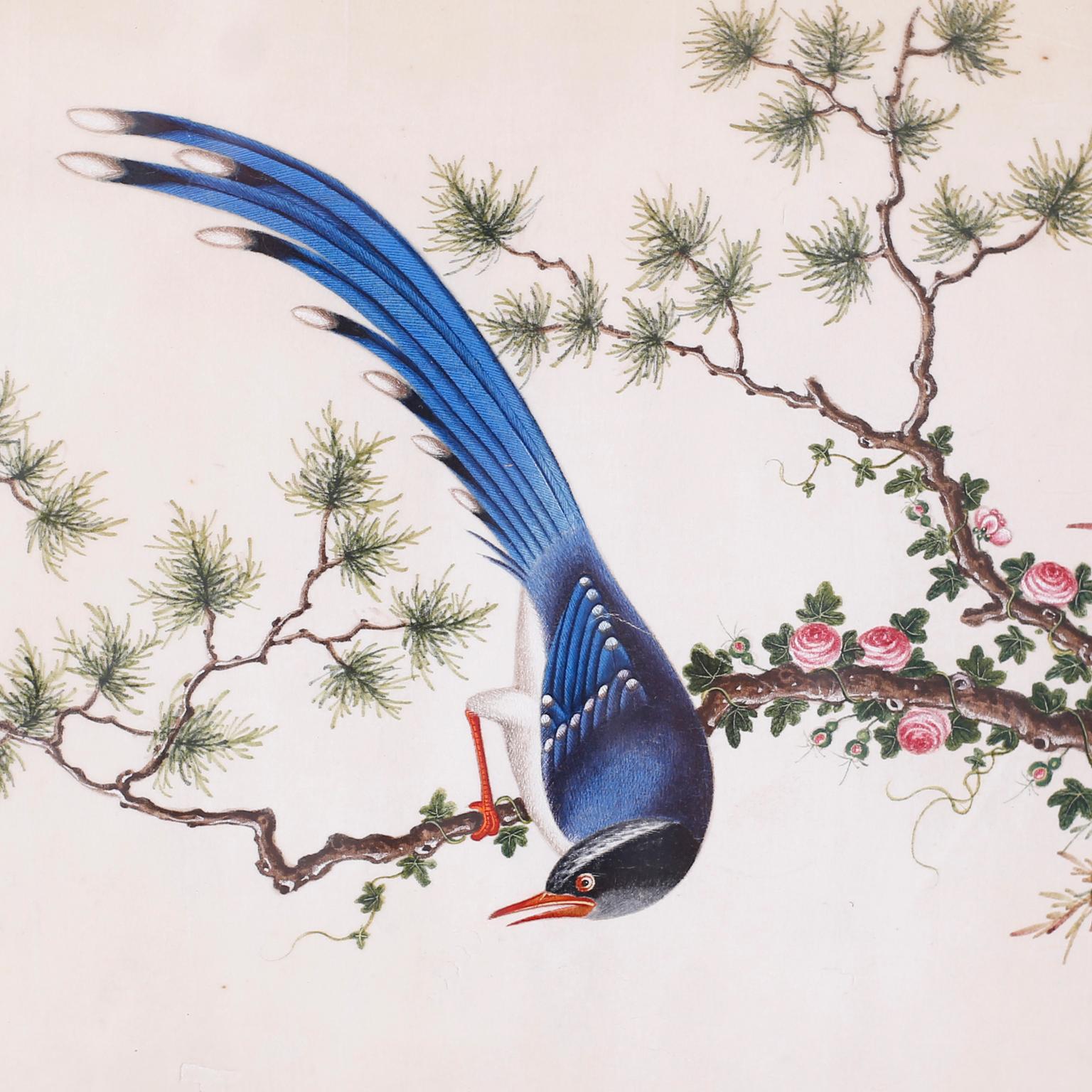 Set of Six Chinese Watercolors of Song Birds For Sale 3