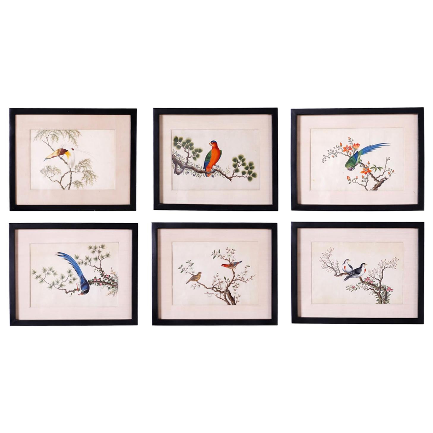 Set of Six Chinese Watercolors of Song Birds For Sale