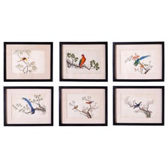 Vintage Set of Six Chinese Watercolors of Song Birds