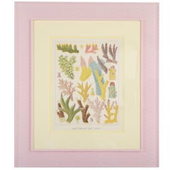 Set of Six Chromolithographs of Australia's Great Barrier Reef Set of Six Chromolithographs of Australia's Great Barrier Reef