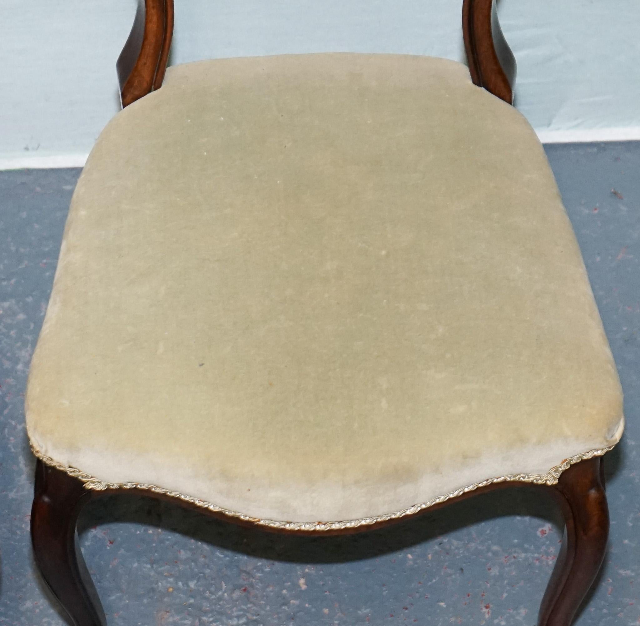 Britannique SÉRIE DE SIX CHAISES À DÎNER VICTORIENNES À DOS DE BALLOON CIRCA 1860 en vente