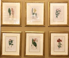 Set of Six Copper Plate Bessa "Herbiel de l' Amateur De Fleurs" Original