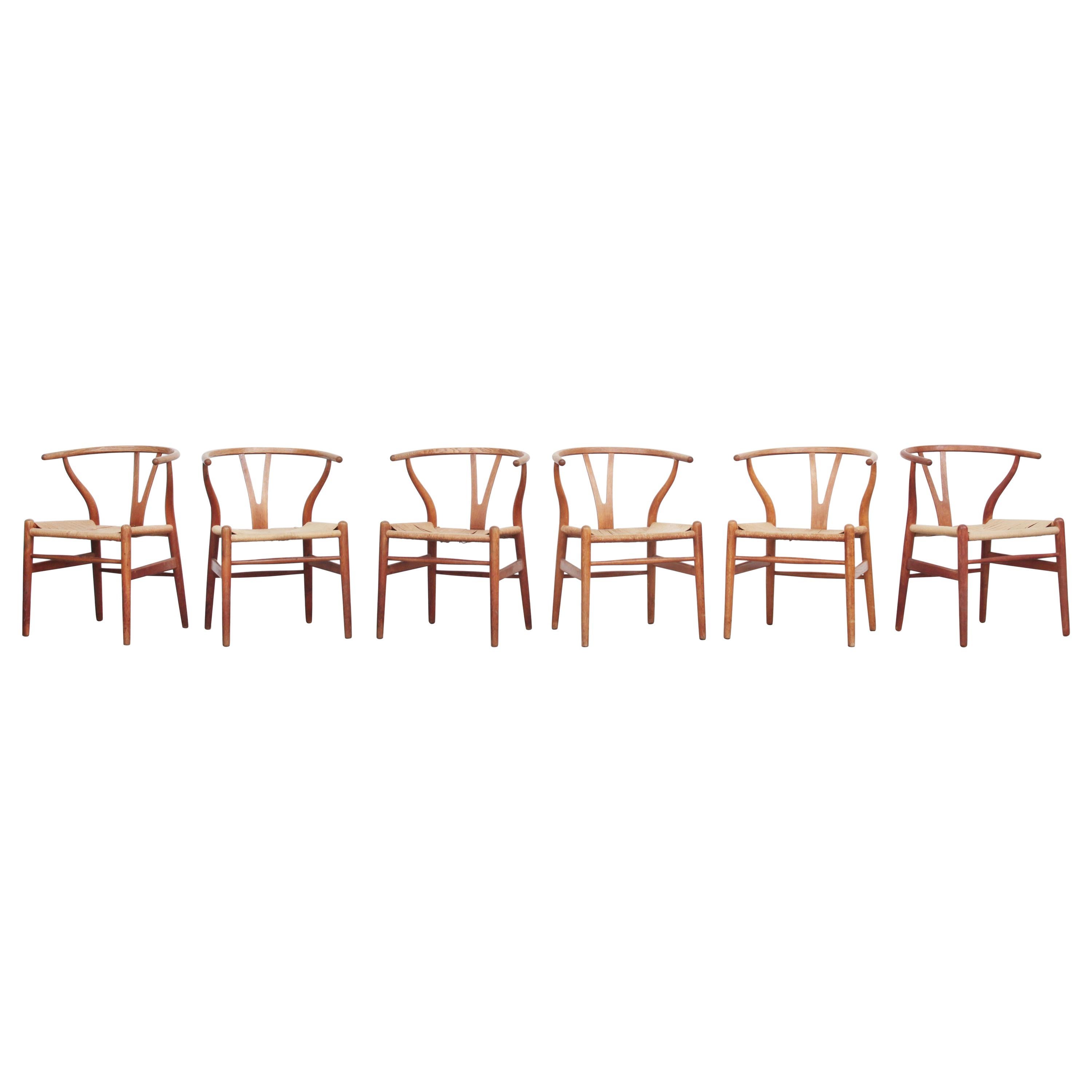 Set of Six Danish Wishbone Chairs CH 24 by Hans J. Wegner for Carl Hansen Oak