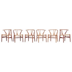 Vintage Set of Six Danish Wishbone Chairs CH 24 by Hans J. Wegner for Carl Hansen Oak