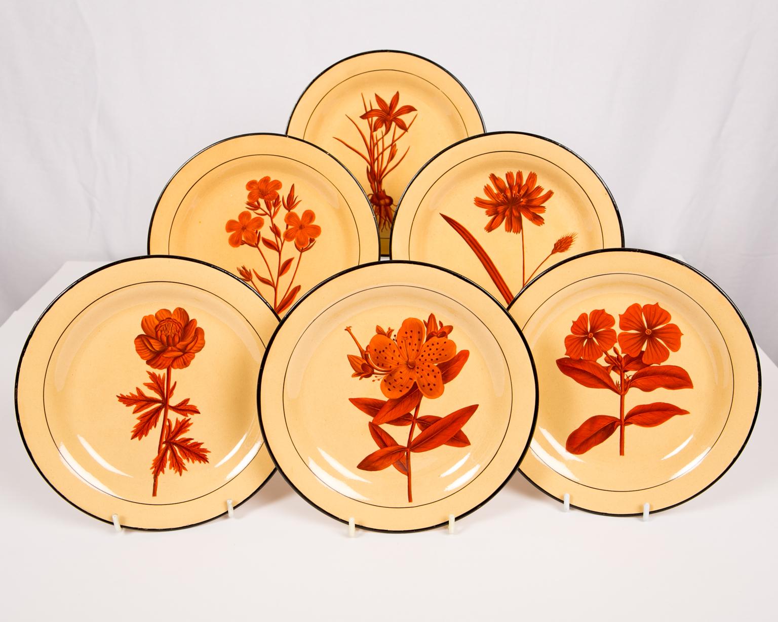 Set of Six Davenport Botanical Plates Each with a Unique Red Flower 3