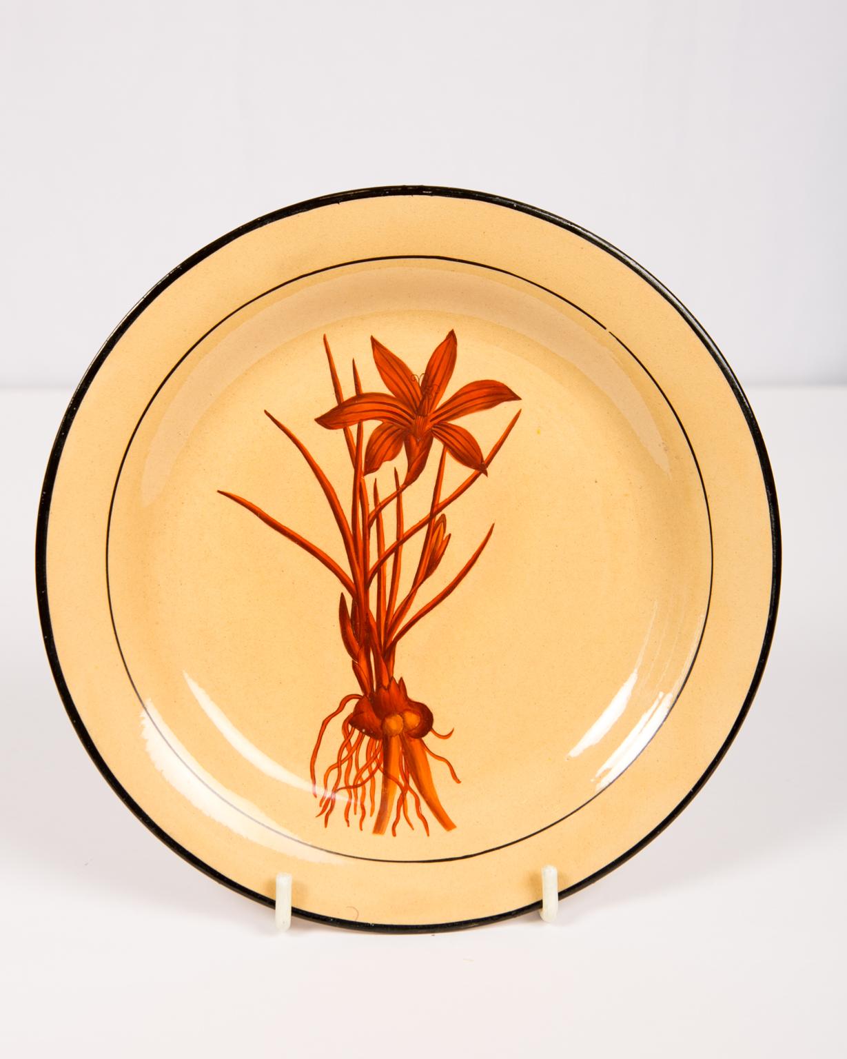 A set of six Davenport botanical plates each featuring an exquisitely painted red flower on a chalcedony background. The flower is named in script on the back of the dish.
A thin black inner line on the dish gives an added focus to the flower
