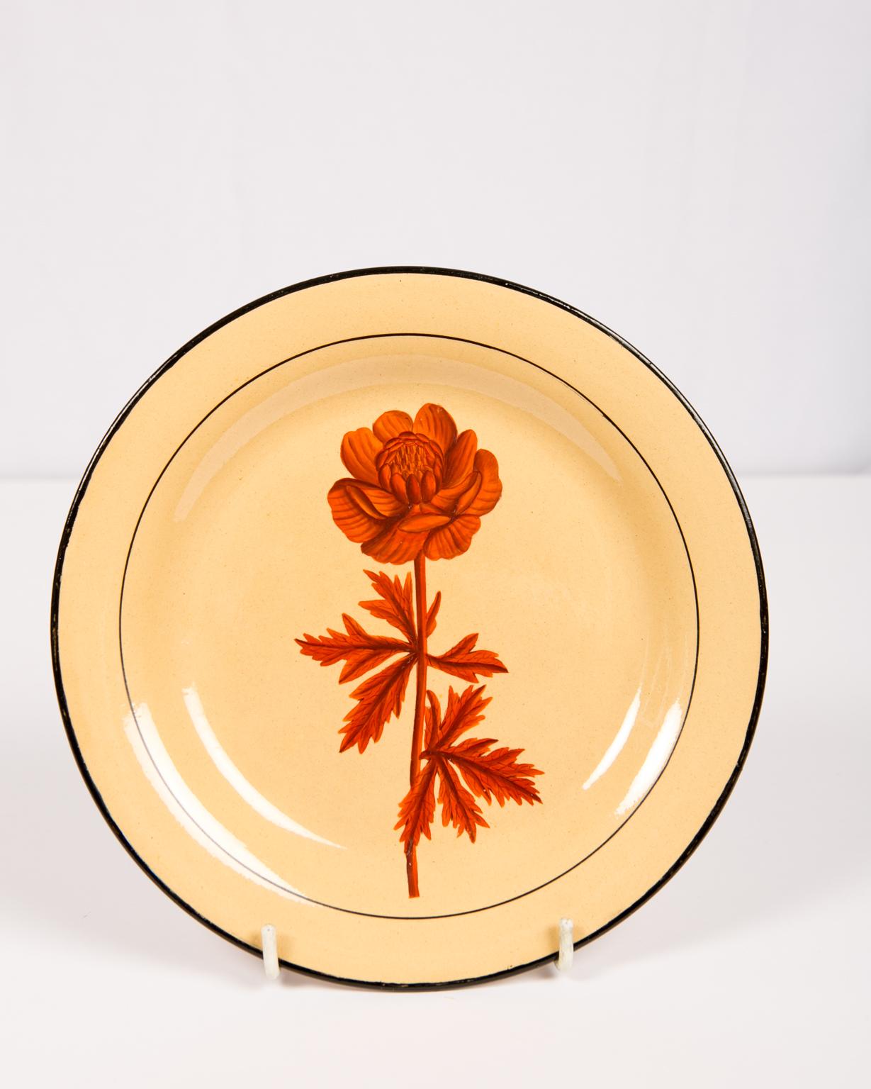 Romantic Set of Six Davenport Botanical Plates Each with a Unique Red Flower
