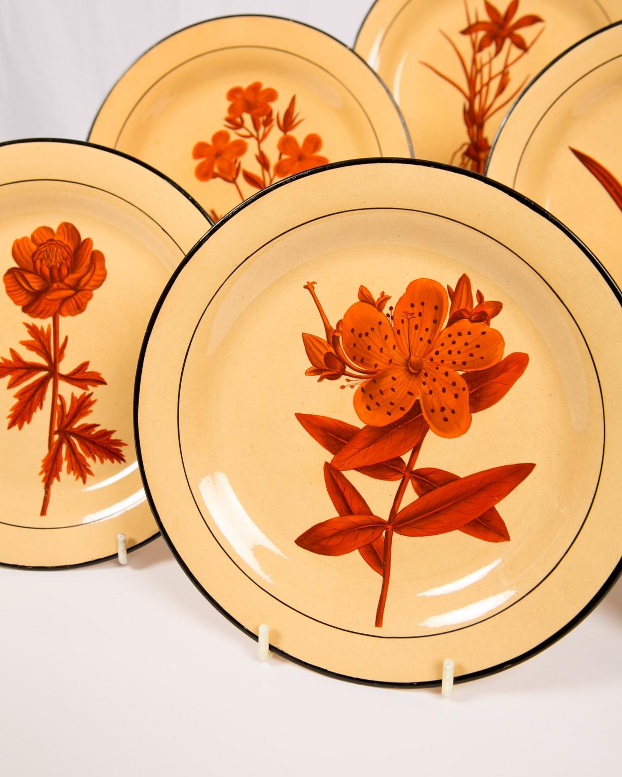 Set of Six Davenport Botanical Plates Each with a Unique Red Flower 1