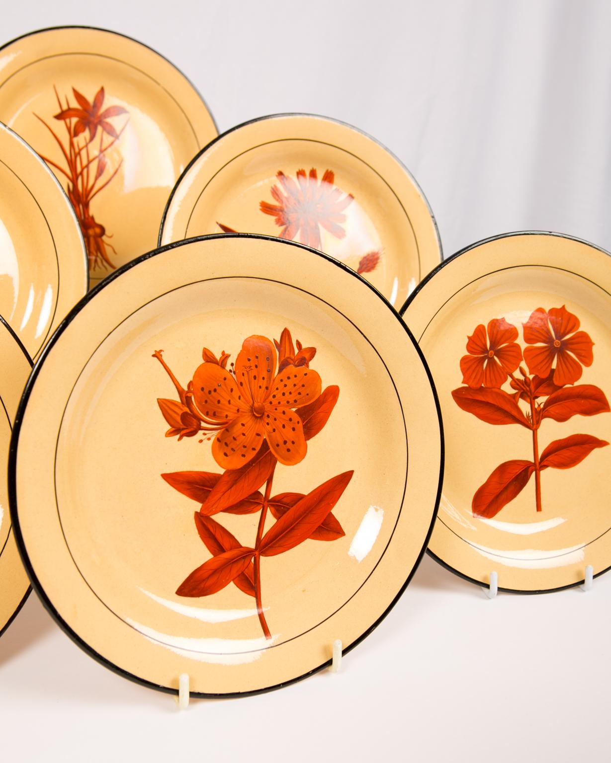 Set of Six Davenport Botanical Plates Each with a Unique Red Flower 2