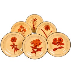 Set of Six Davenport Botanical Plates Each with a Unique Red Flower