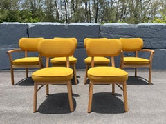 Set di sei sedie da pranzo di design