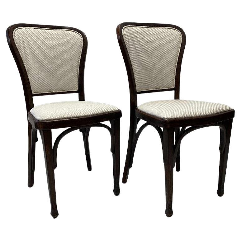 Set of six dining chairs by Gustav Siegel for Thonet from circa 1905s. Fully restored and covered with white fabric.