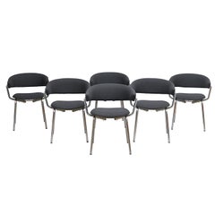 Ensemble de six chaises de salle à manger par Pierre Guariche