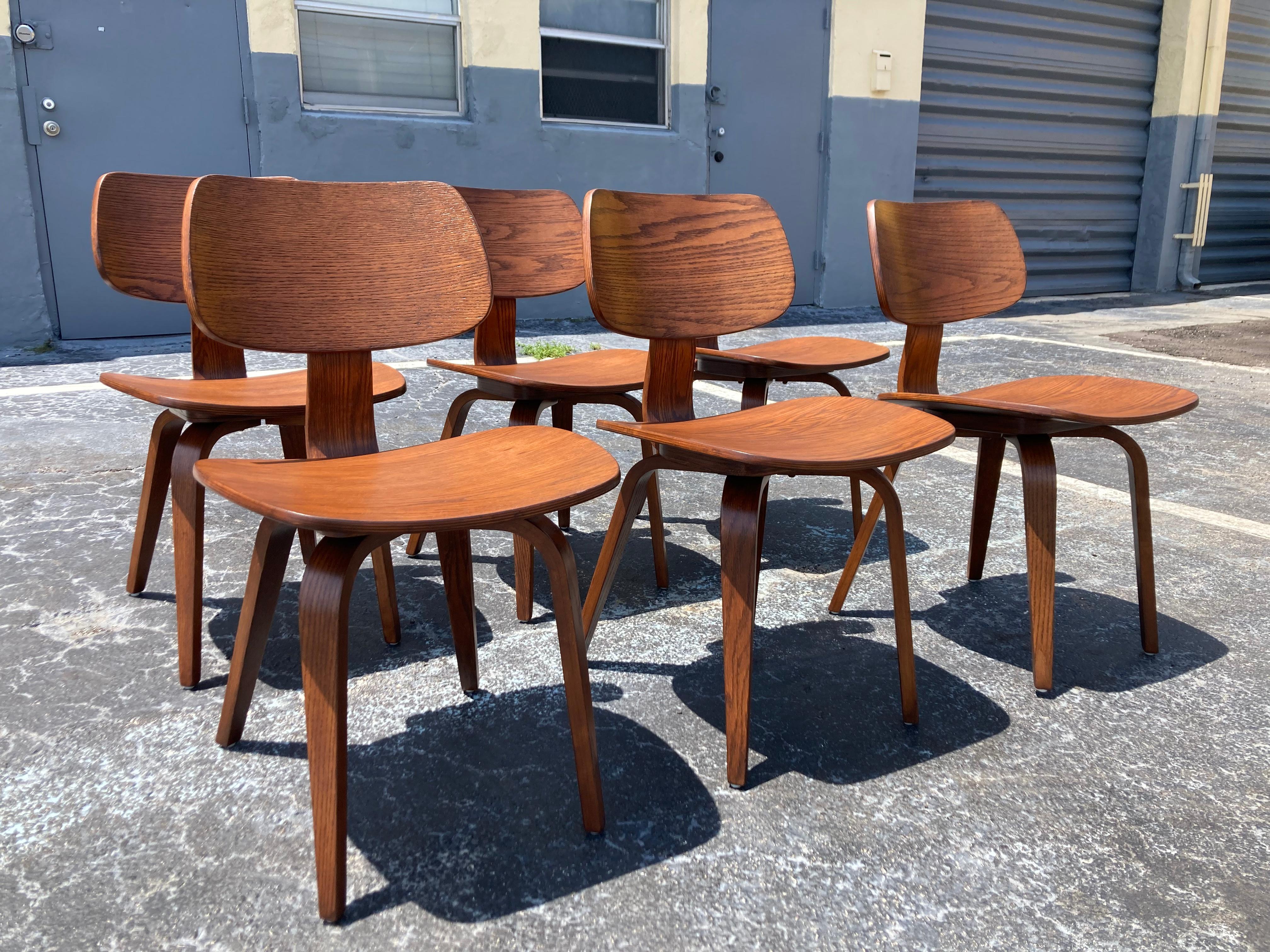 Set of Six Dining Chairs Designed by Bruno Weil for Thonet, Bentwood For Sale 4