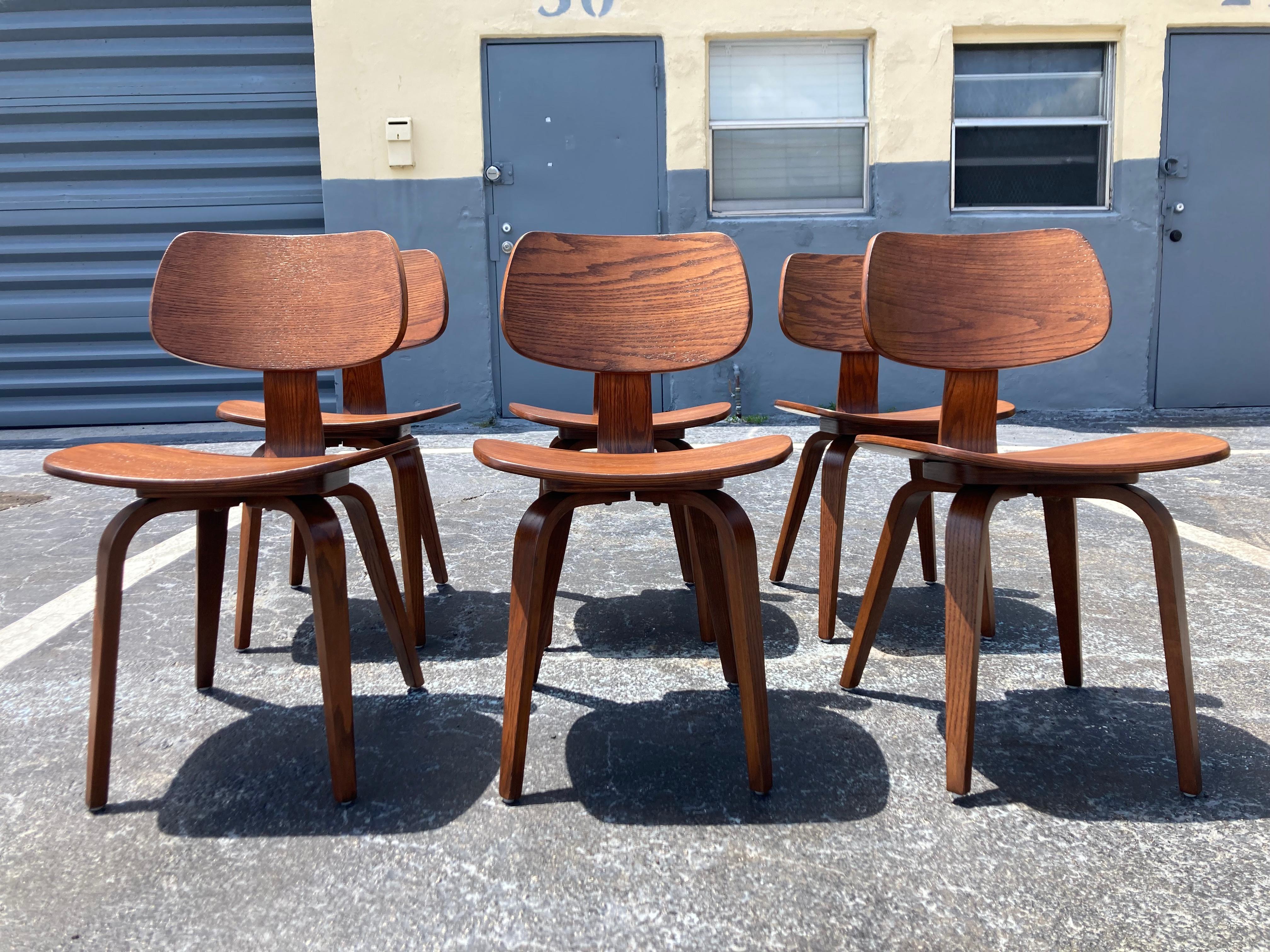 Set of Six Dining Chairs Designed by Bruno Weil for Thonet, Bentwood For Sale 6