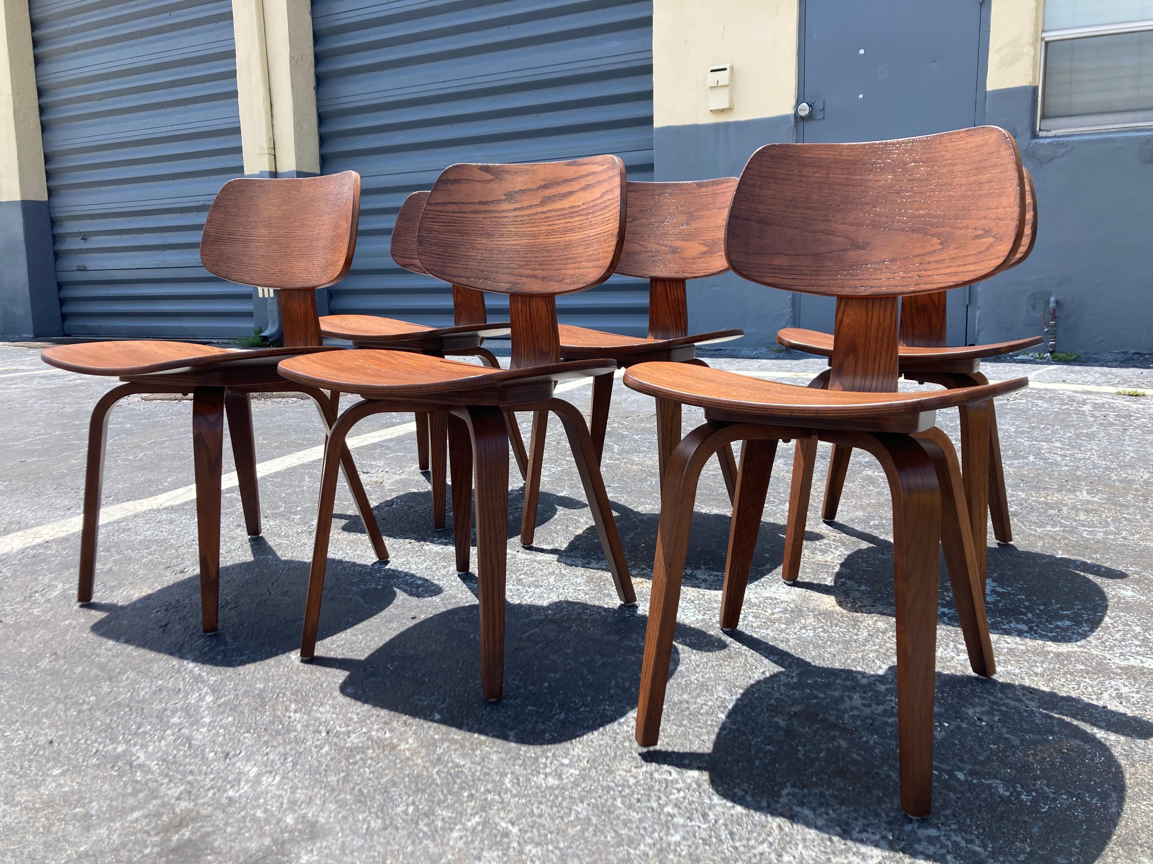 Set of Six Dining Chairs Designed by Bruno Weil for Thonet, Bentwood For Sale 9