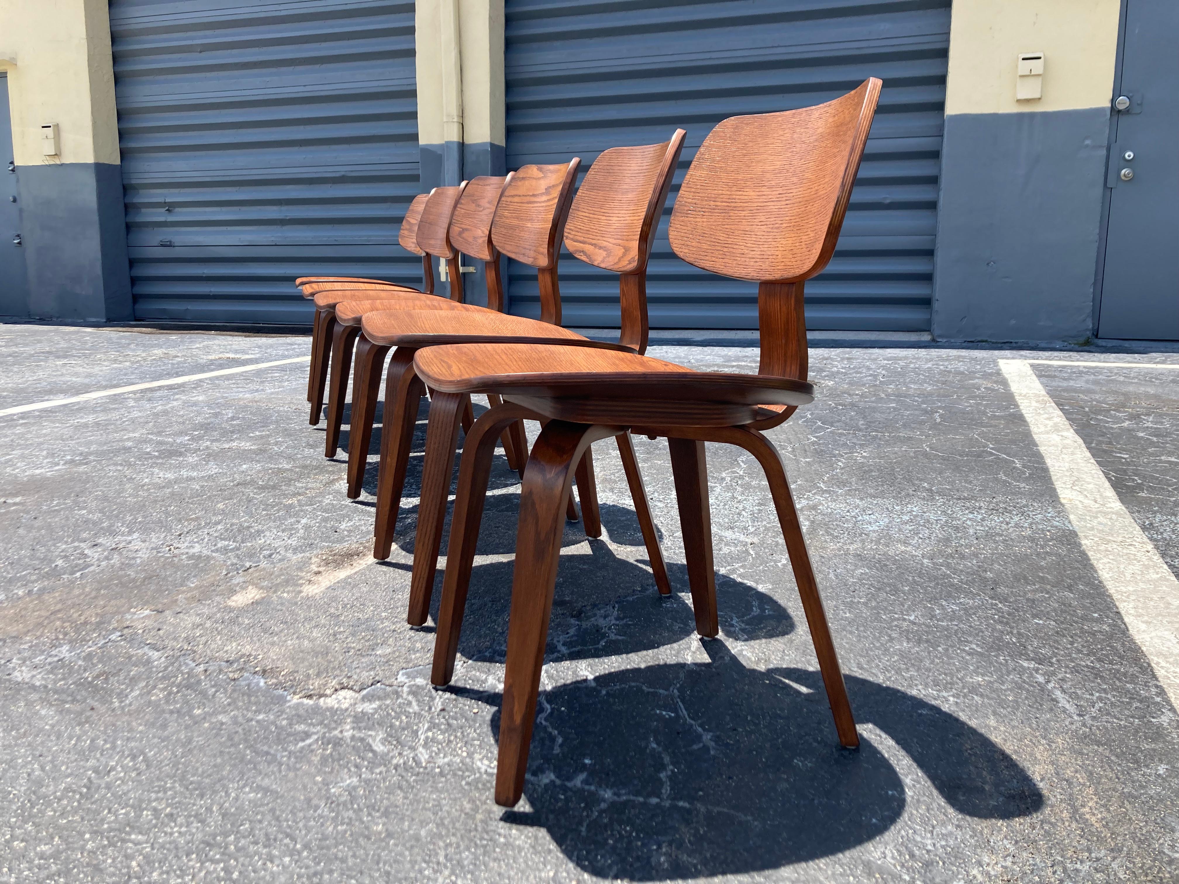 Set of Six Dining Chairs Designed by Bruno Weil for Thonet, Bentwood For Sale 11