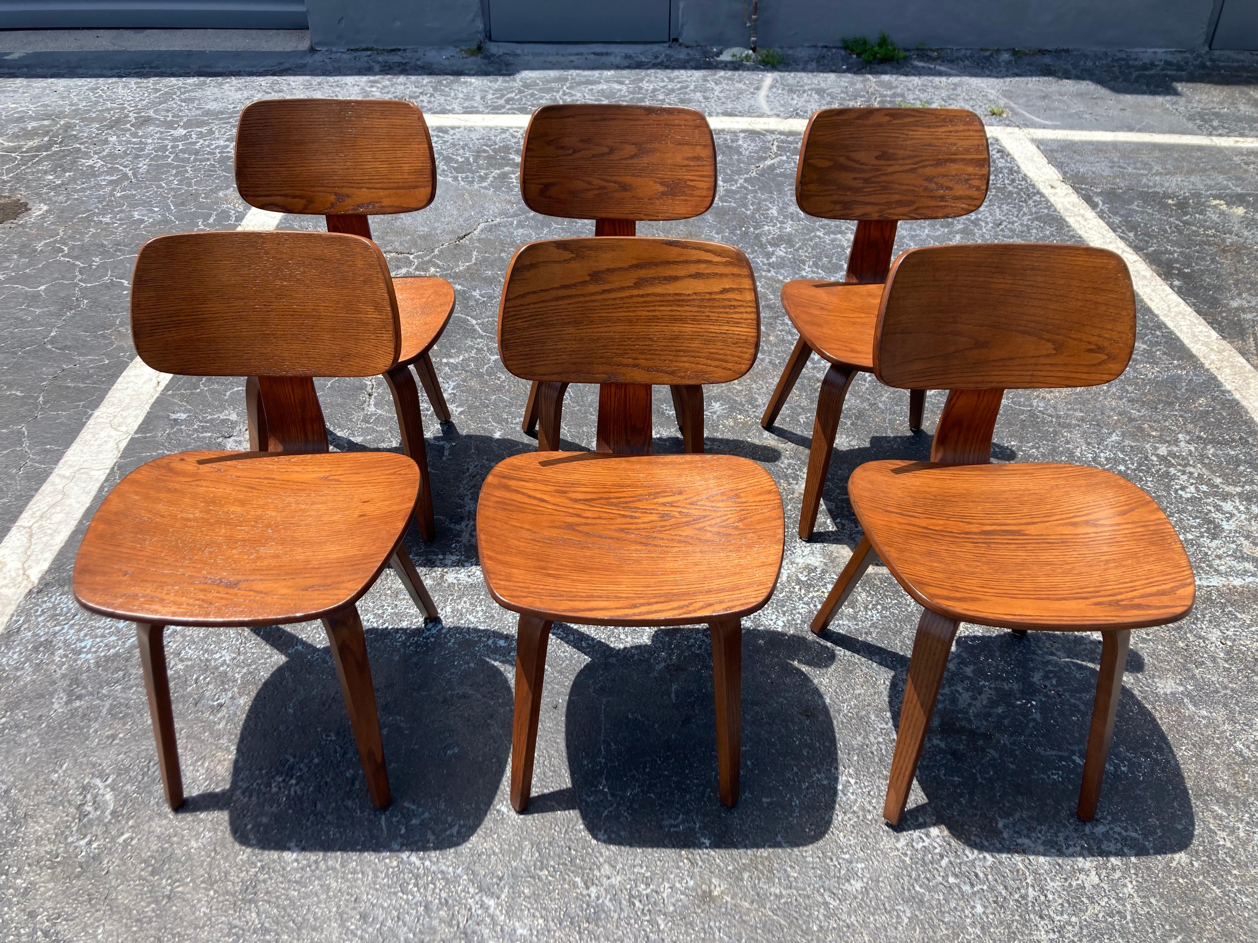 Set of Six Dining Chairs Designed by Bruno Weil for Thonet, Bentwood For Sale 2
