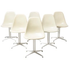Set of Six DSW Side Chairs, Designed by Charles and Ray Eames